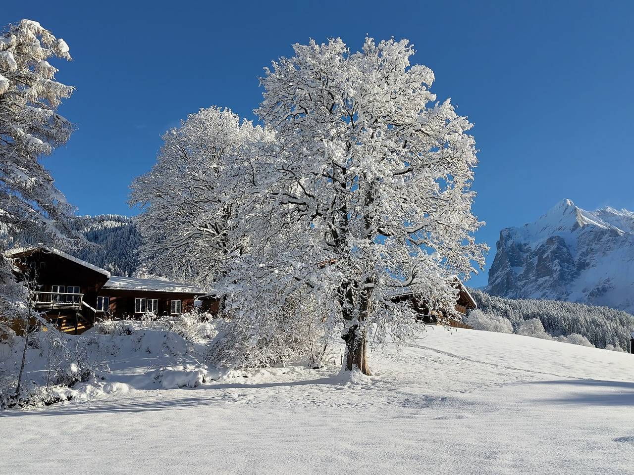 Tournelle 8 Bett Wohnung in Grindelwald, Grindelwald region