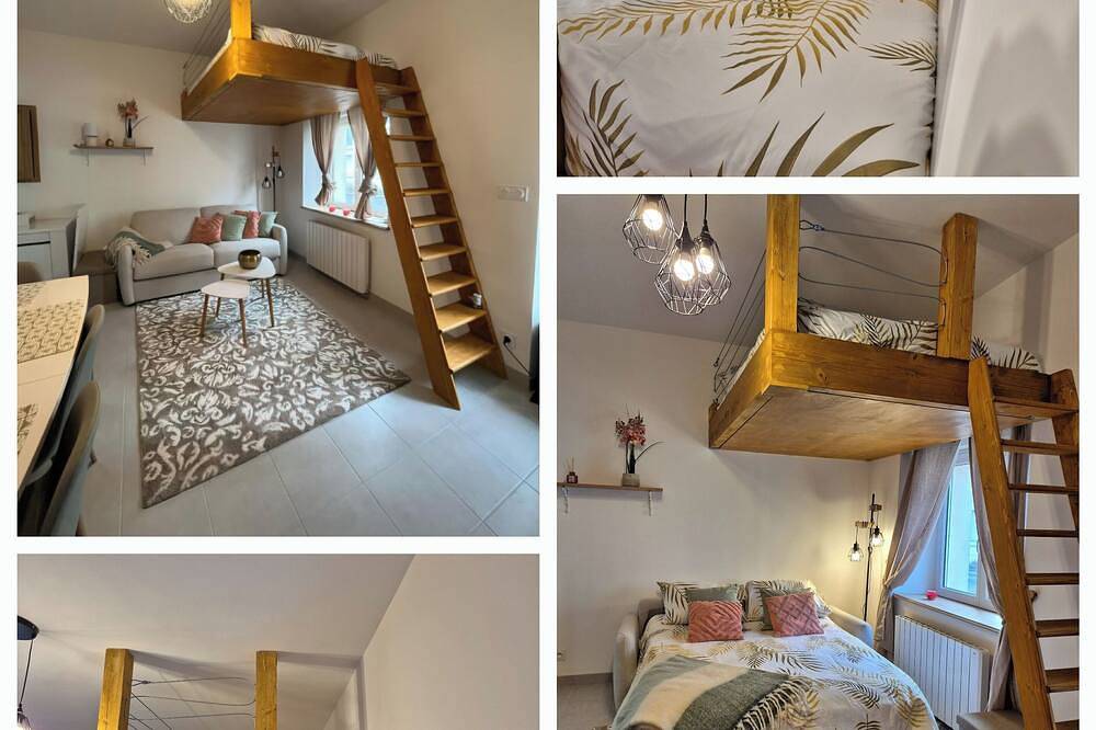 Entire apartment, The little \"Sunshine\" cosy in Romorantin-Lanthenay, Sologne