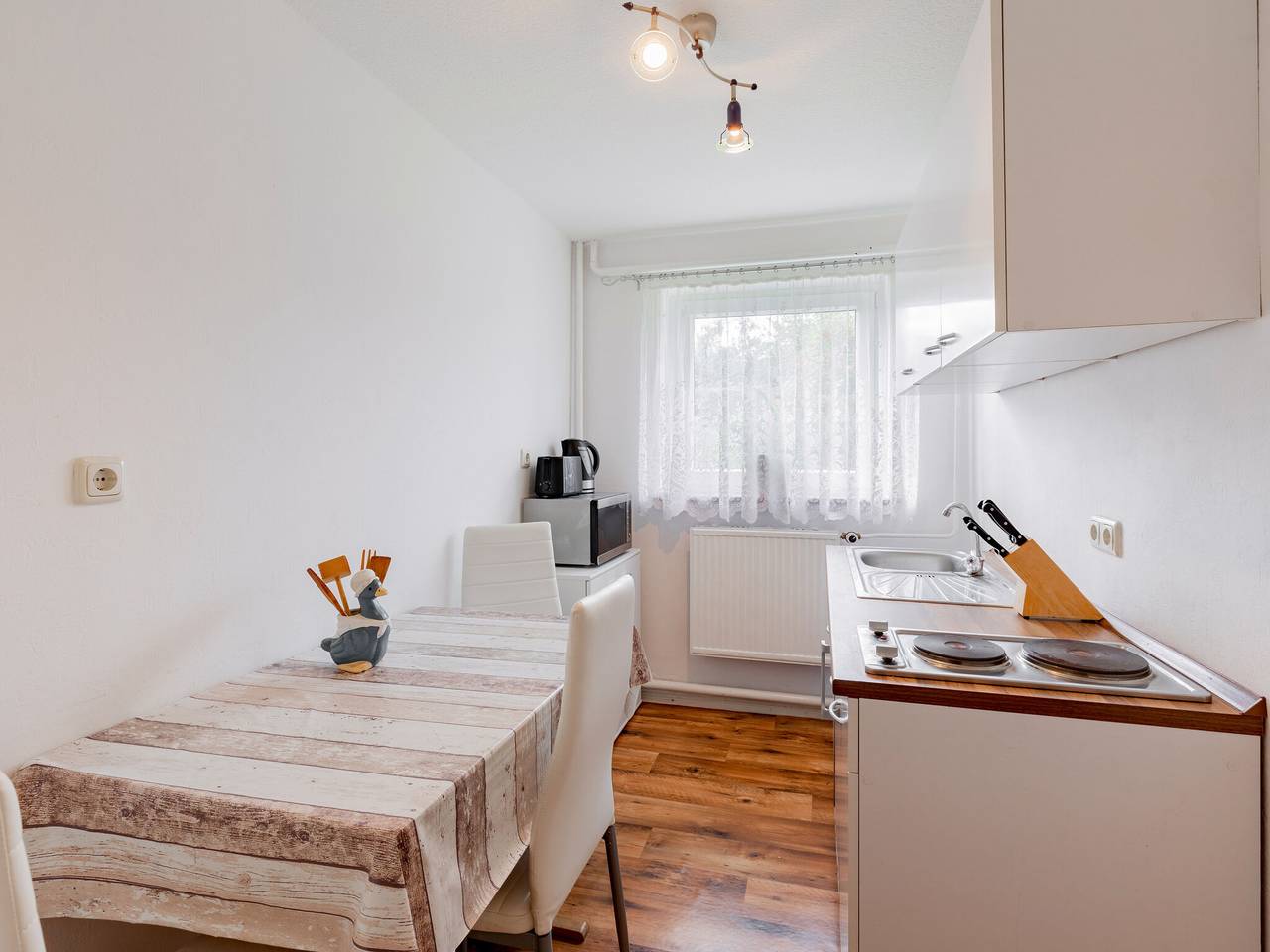 Ganze Wohnung, Wohnung im Ot Brusow mit Garten in Kröpelin, Rostock und Umgebung