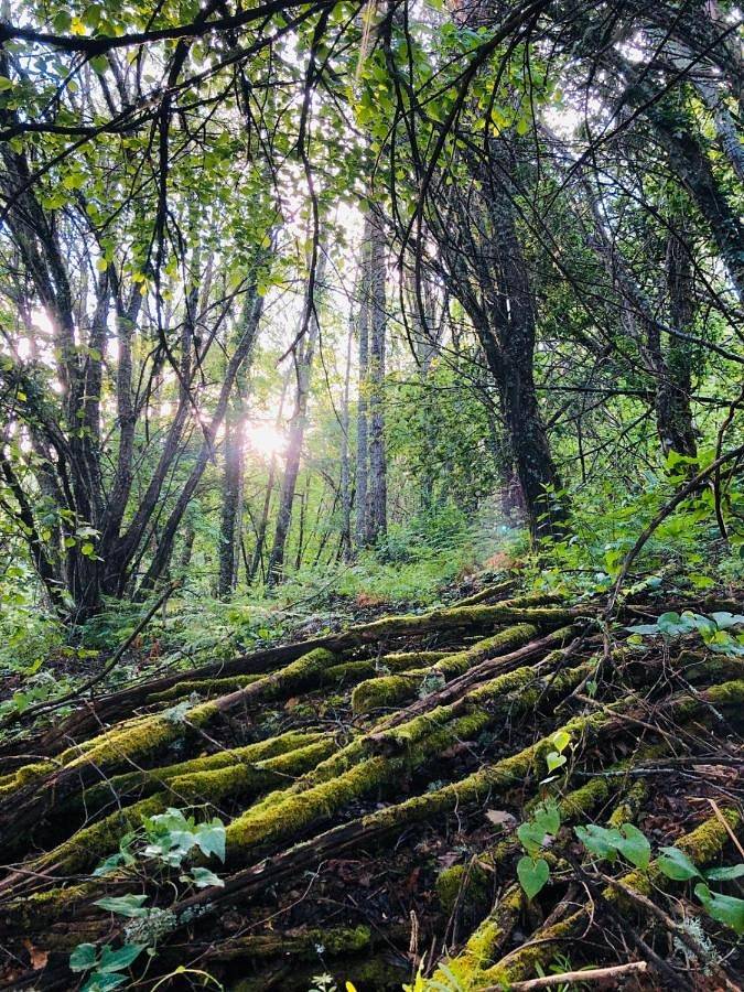 Chalet para 4 personas, con jardín además de vistas y piscina en Provincia de Salamanca - 2