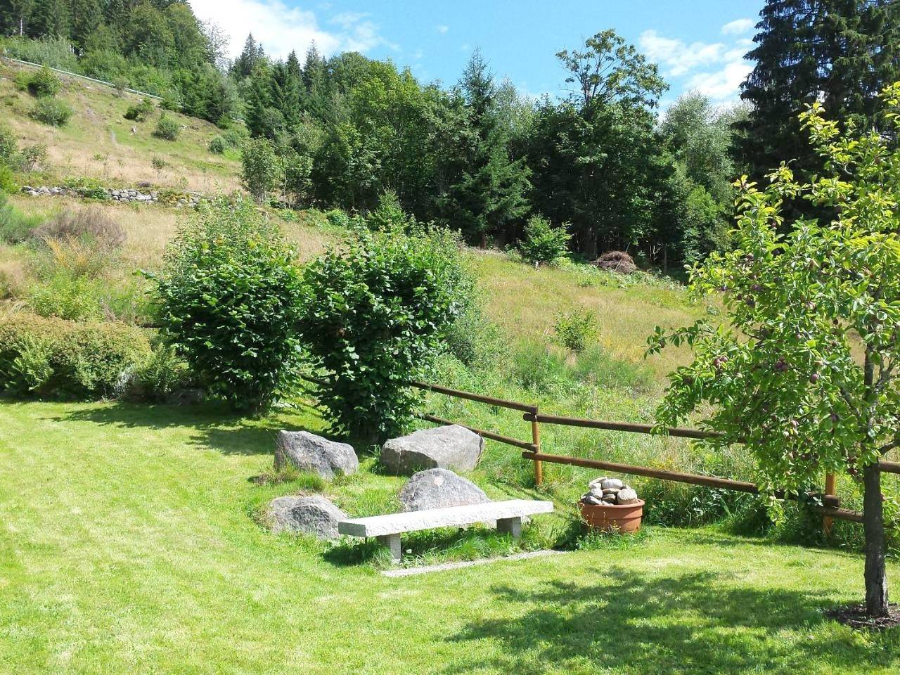 Appartement entier, Haus Schäfer in St. Blasien, Forêt-Noire du Sud