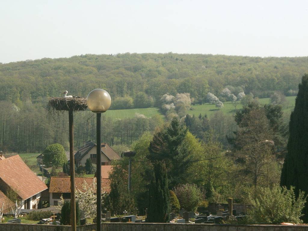 Gite "la Saboterie 1609" in Oberbronn, Nord de l'Alsace