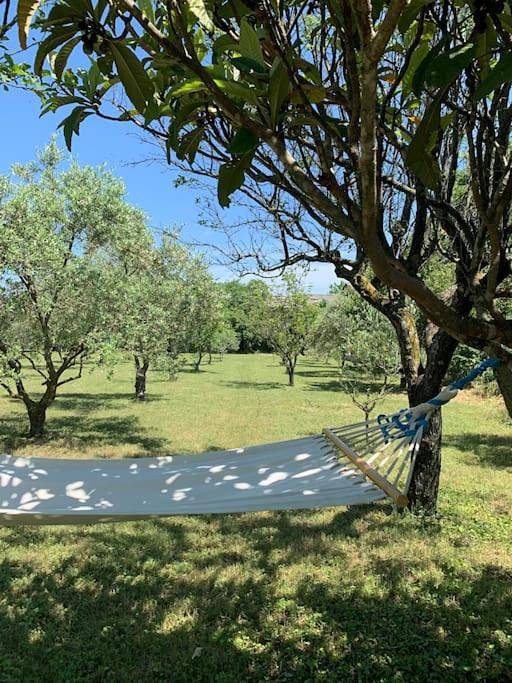 Location de vacances pour 13 personnes, avec jardin et piscine à Bouchet - 3