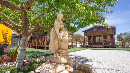 Villa for 15 People in Vélez-Rubio, Almería Province, Photo 3