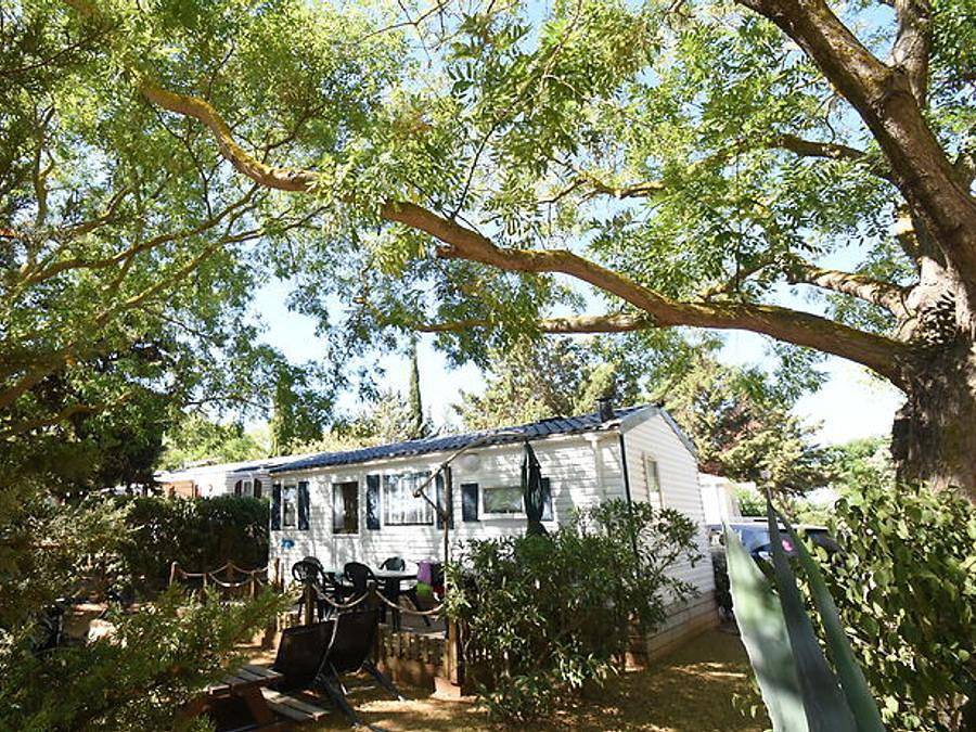 Camping Le Mas des Lavandes - Mobilhome 5 personnes - Classic 2 chambres S - non climatisé in Sérignan, Côte d'Améthyste