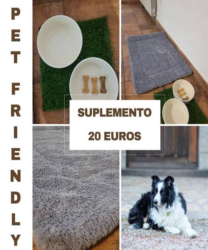 Casa rural para 3 personas, con jardín y vistas, Se admiten mascotas en Puerto de Navacerrada - 4