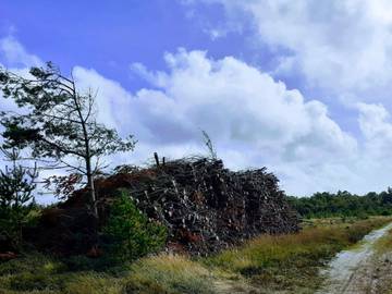 Ferienhaus für 8 Personen in Jegum, Dänemark an der Nordsee, Bild 2