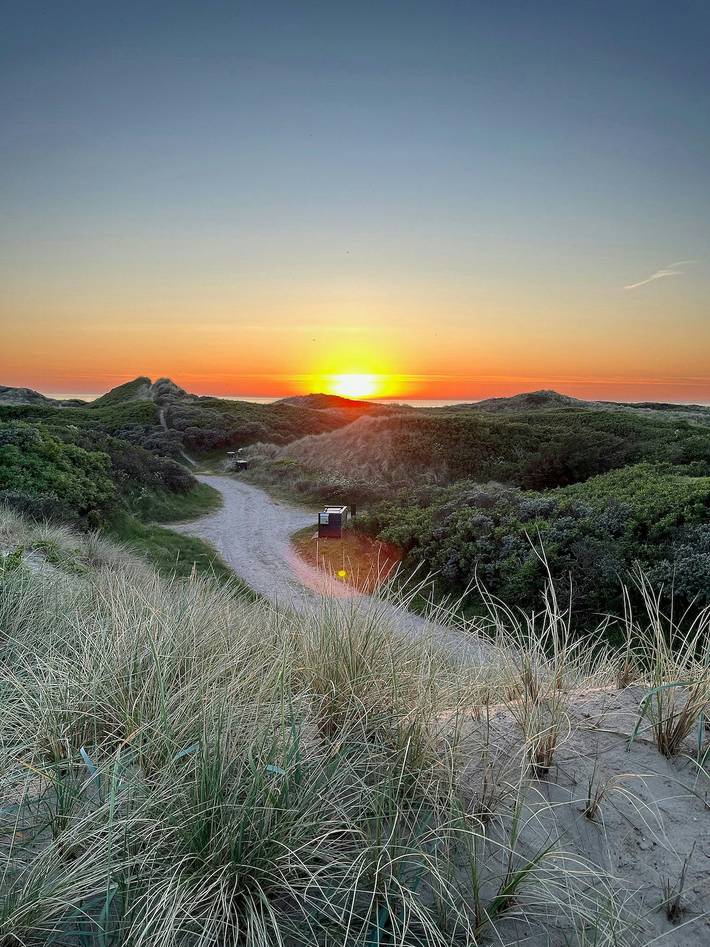 Ferienhaus mit Meerblick für 8 Personen, mit Terrasse in Jammerbugt - 3