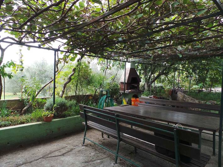 Ferienwohnung für 3 Personen, mit Garten in Novigrad - 2