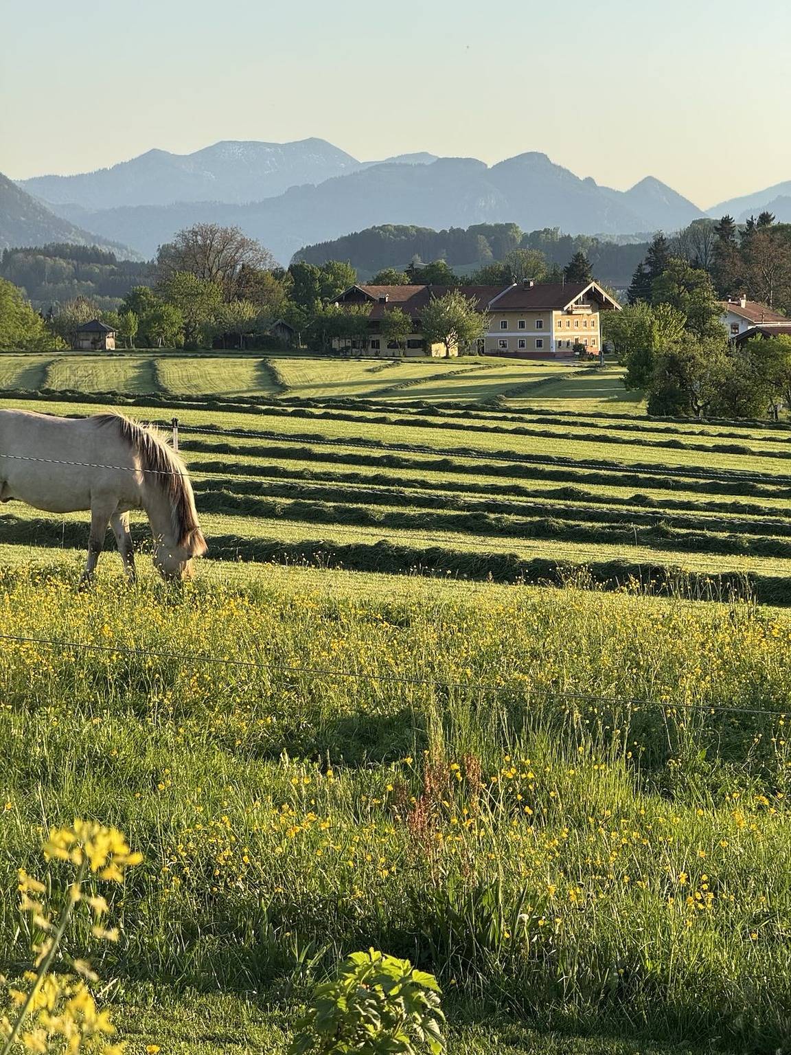 Ganze Ferienwohnung, Wandelraum - Tiny Haus in Frasdorf, Chiemsee