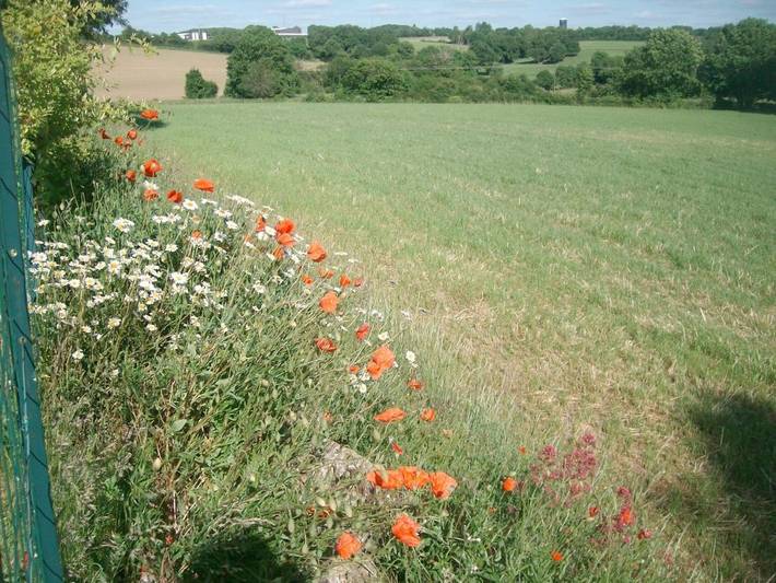 Location de vacances pour 8 personnes, avec jardin ainsi que piscine et vue à La Flocellière - 4
