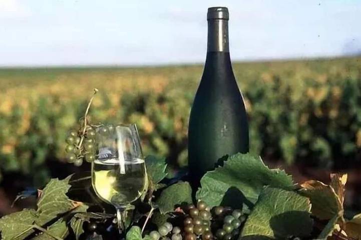 Mobil home pour 4 personnes à Saint-Julien-de-Concelles - 2