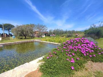 Agriturismo per 4 Persone in Roccastrada, Maremma, Foto 2