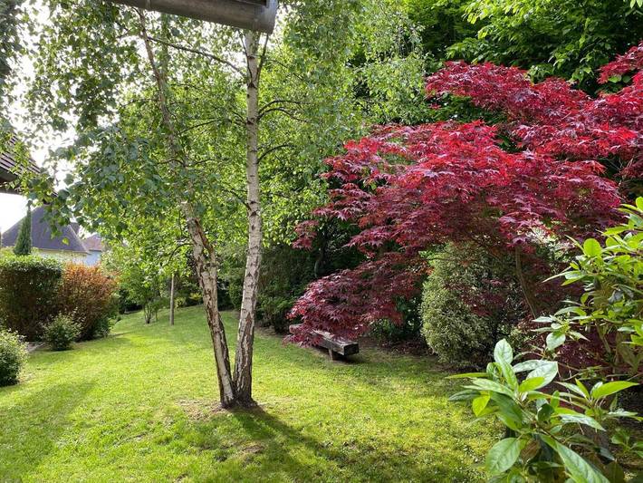 Maison d’hôte pour 4 personnes, avec vue et jardin à Houlgate - 3