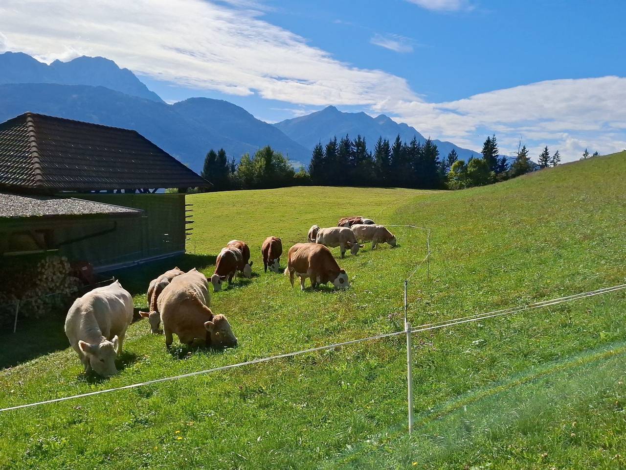 Ganze Wohnung, Waldpension Ranner in Kreuzeckgruppe, Steinfeld im Drautal
