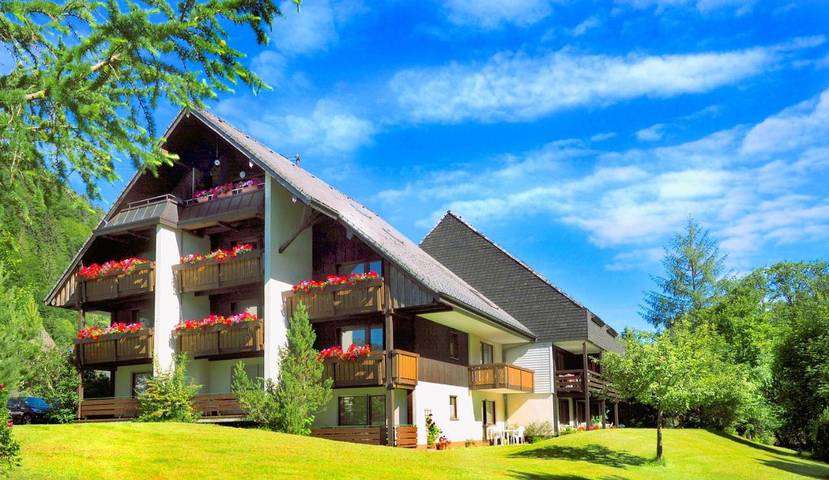 Ferienwohnung für 3 Personen, mit Garten und Sauna sowie Ausblick in Menzenschwand (St. Blasien)