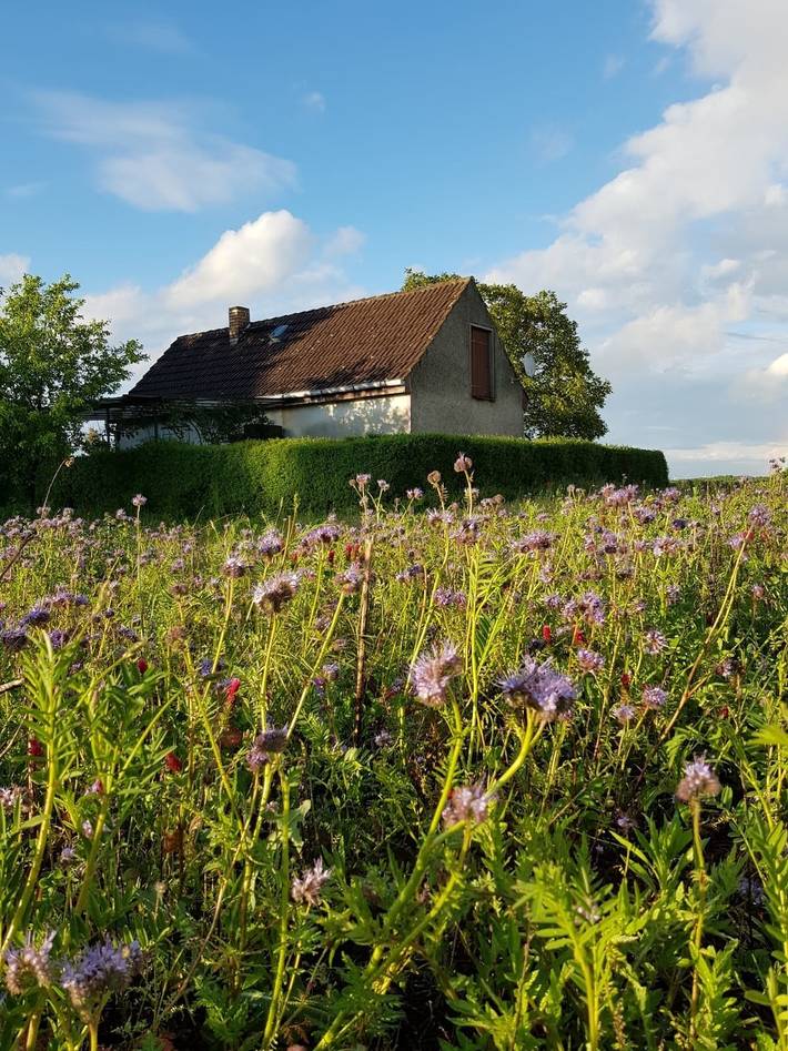 Ferienhaus für 2 Personen, mit Terrasse und Garten, kinderfreundlich im Ruppiner Land