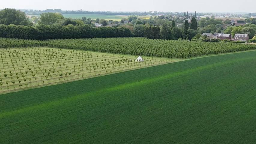 Gîte pour 3 personnes, avec vue, animaux acceptés à Hannut - 3