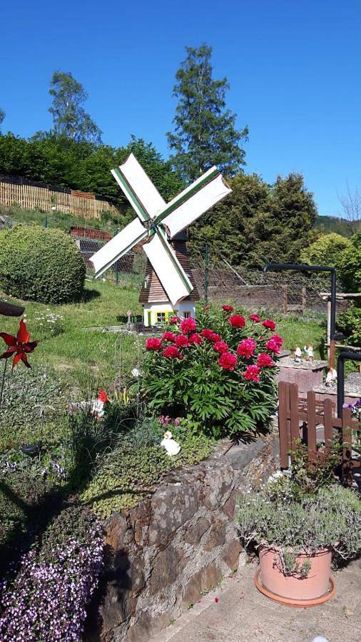 Ferienwohnung für 4 Personen, mit Ausblick und Terrasse in Wieda - 2