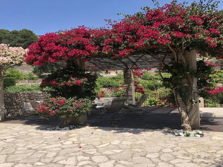 Finca für 12 Personen, mit Pool und Garten in Port de Sóller - 2