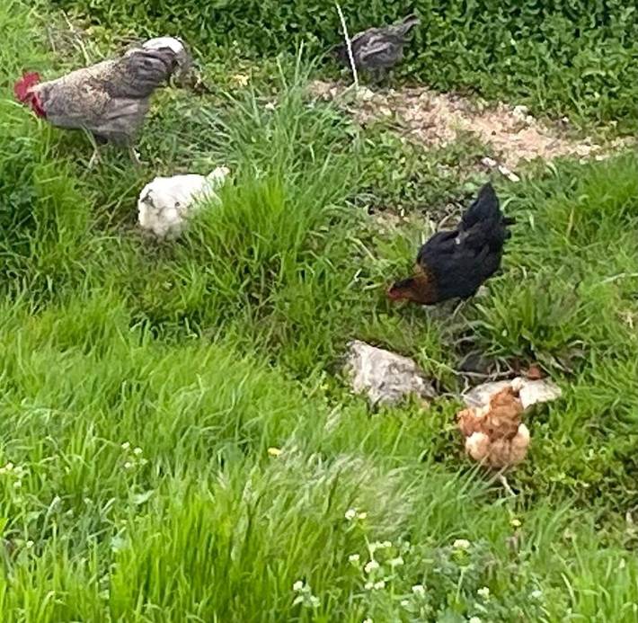 Location de vacances pour 5 personnes, avec vue et terrasse à Lablachère - 4