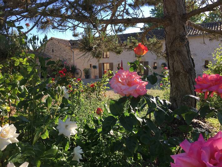 Gîte pour 8 personnes, avec piscine