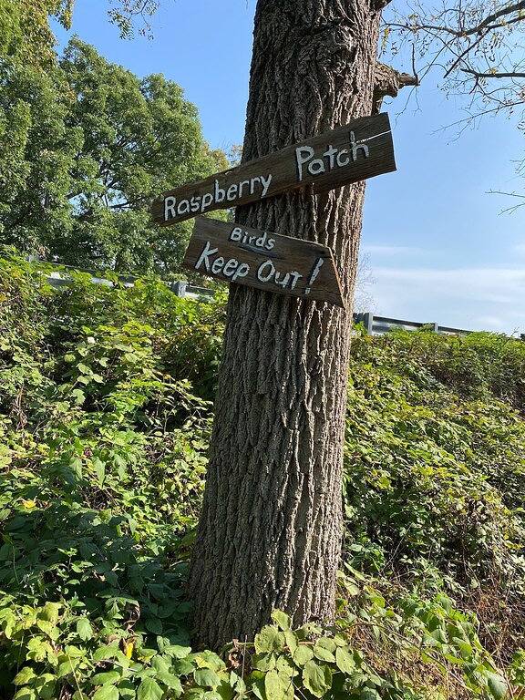 Cozy hideaway on your own corner of our homestead in Lancaster County