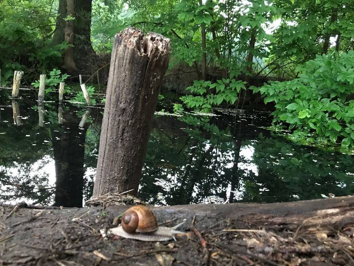 Ferienwohnung für 6 Personen, mit Seeblick und Garten in Vetschau - 4
