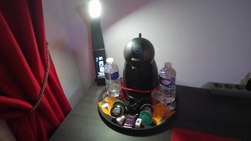 Hôtel pour 2 personnes, avec vue et jardin à Lussac-les-Châteaux - 4