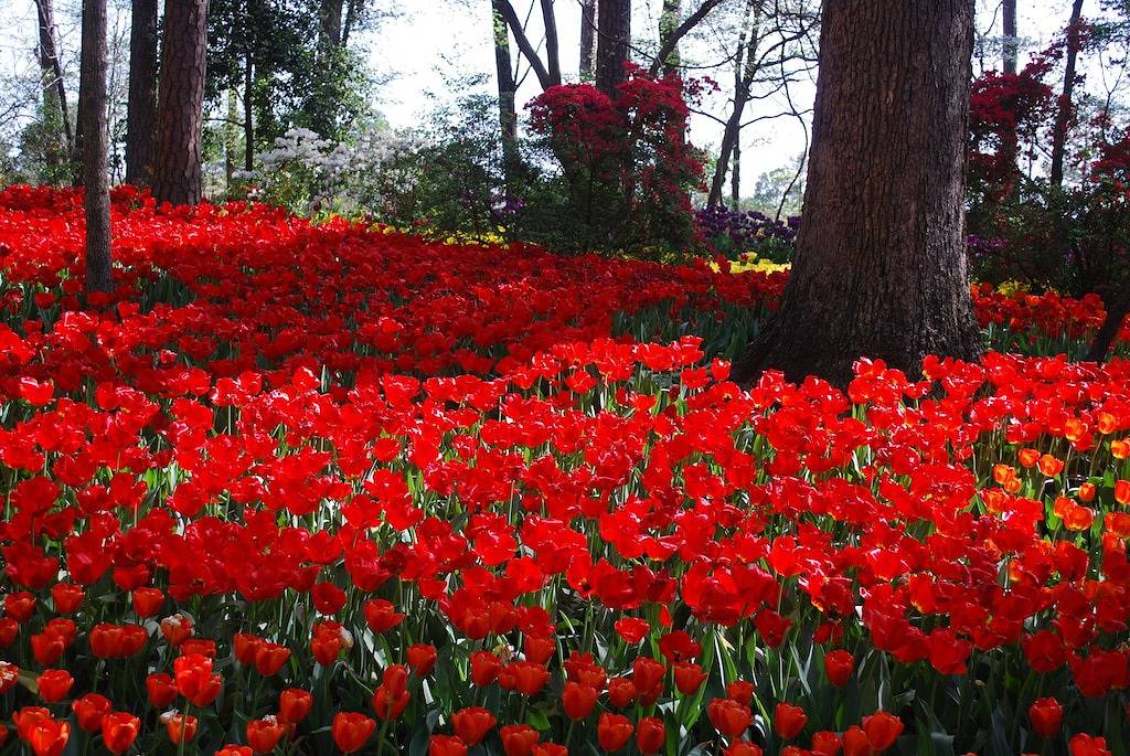 Vacation House for 4 Guests in Hot Springs, Ouachita National Forest