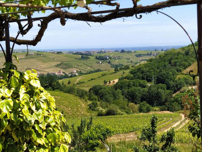 Lagneau Roux in Quincié-en-Beaujolais, Région de Villefranche-sur-Saône