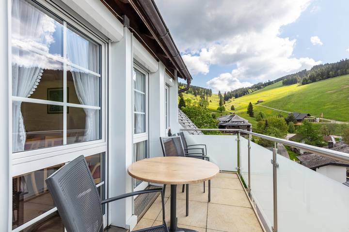 Gîte pour 4 personnes, avec balcon, animaux acceptés à Todtnau - 2