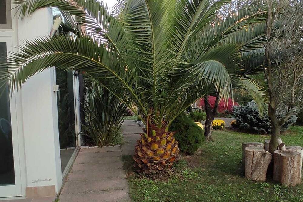 Bnb für 3 Personen in Venedig, Venedig Provinz