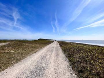 Strandhaus für 4 Personen in Martofte, Südjütland, Bild 3