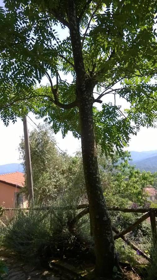 Casa vacanza per 3 persone, con panorama e terrazza, con animali domestici - 1