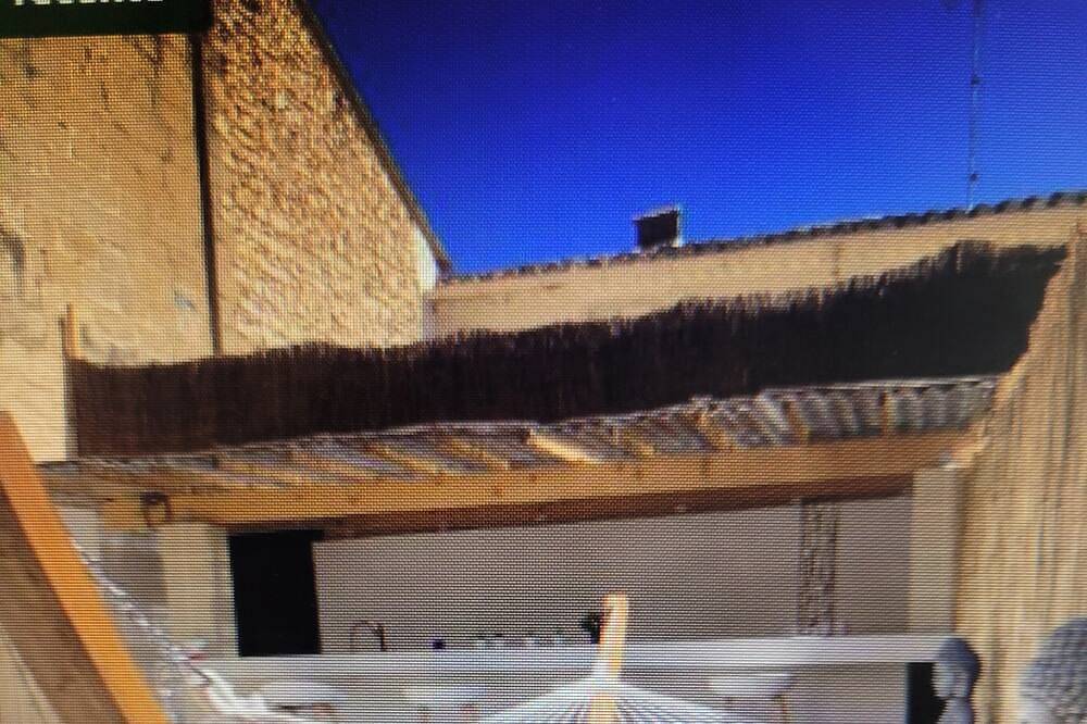 Appartement entier, Loft de Charme Xxl - Le Phoenix in Vergèze, Côte méditerranéenne (France)