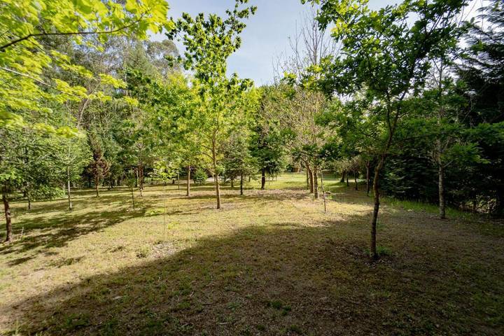 Casa rural para 6 personas, con Terraza además de Jardín y Vistas en Mos - 2