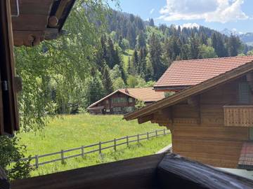 Chalet pour 4 Personnes dans Saanenmöser, Saanen, Photo 4