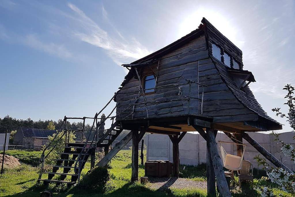 Double Room with Garden View in Oderbruch