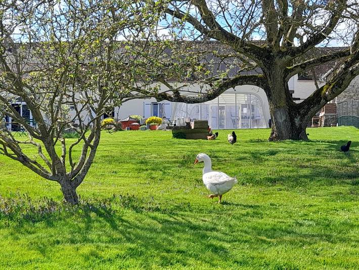 Chambre d’hôte pour 4 personnes, avec piscine et jardin, animaux acceptés - 1