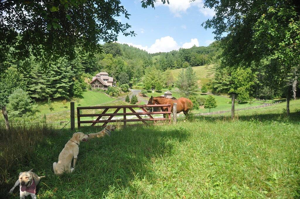 Tree House on Little Peak Creek Farm! in Blue Ridge Parkway, Ashe County