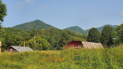 Log Cabin for 4 Guests in Fontana Lake, Swain County, Picture 2