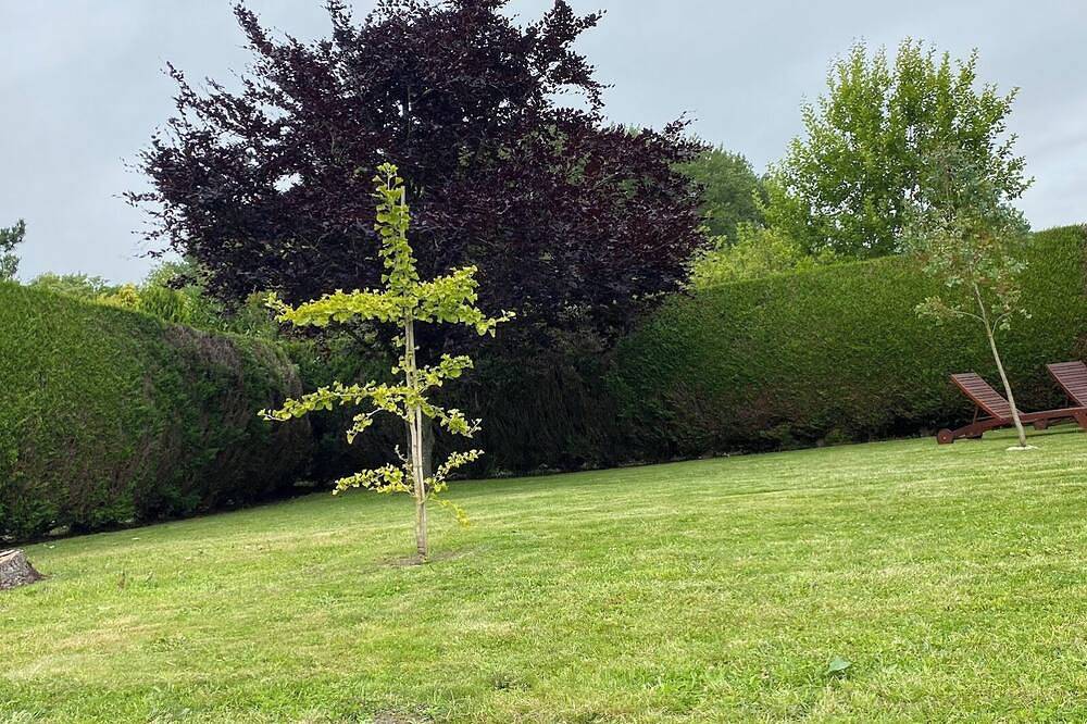 Country House Near St Valery On Sum in Lanchères, Abbeville region