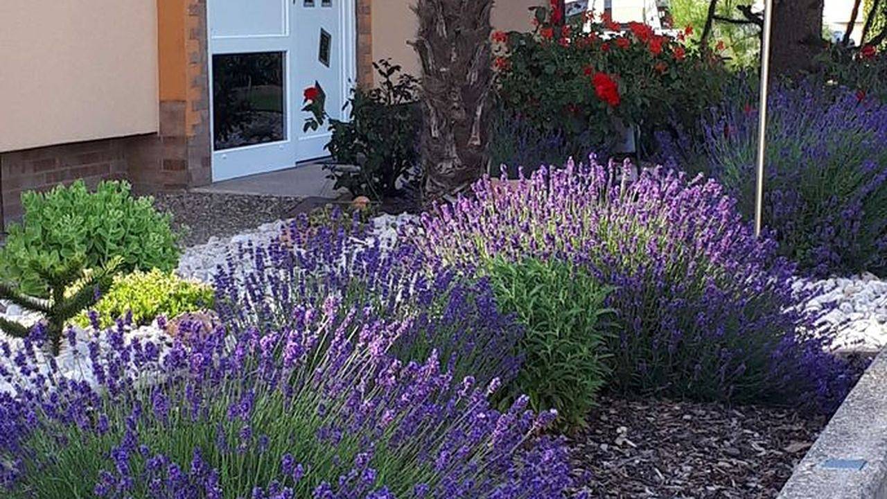 Apartamento vacacional entero, Ferienwohnung für 5 Personen (85 m²) in Rust in Europa-Park, Rust