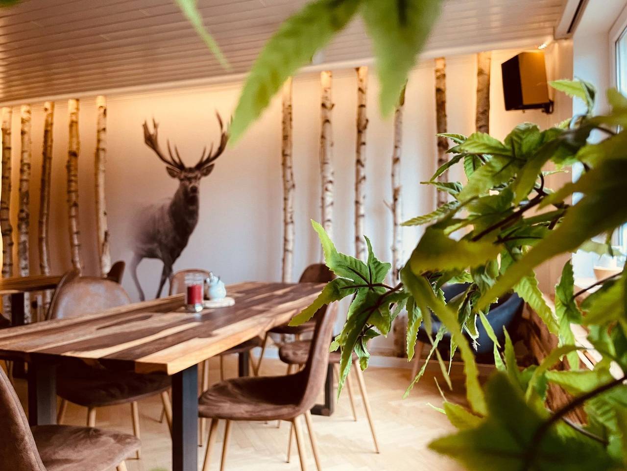 Hotel Harzresidenz - Einzelzimmer in Friedrichsbrunn, Thale