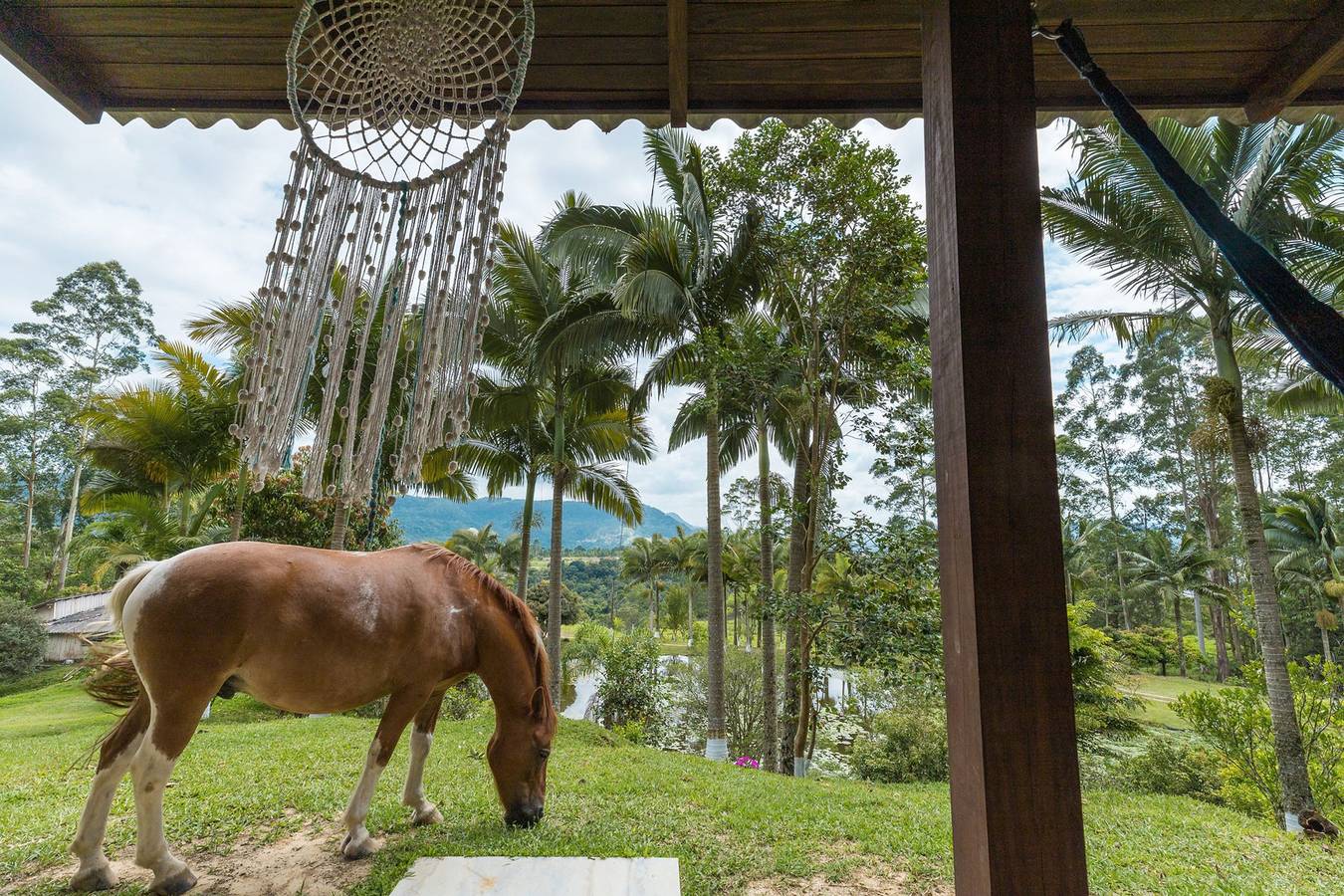 Chalé com Wi-Fi, vista p o lago em meio a natureza in Rio do Sul, Santa Catarina
