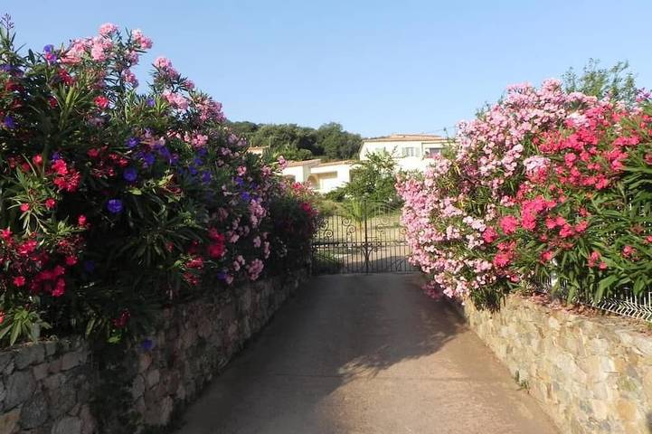 Le Cerisier - Cateri in Cateri, Calvi und Umgebung