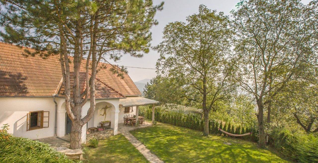Danube Dreamin' in Leiben, Donau Niederösterreich