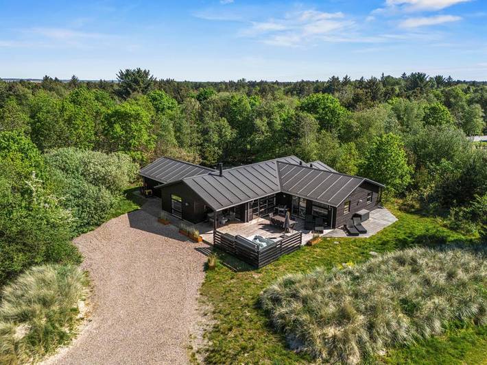 Ferienhaus für 8 Personen, mit Pool und Sauna, mit Haustier in Blavand