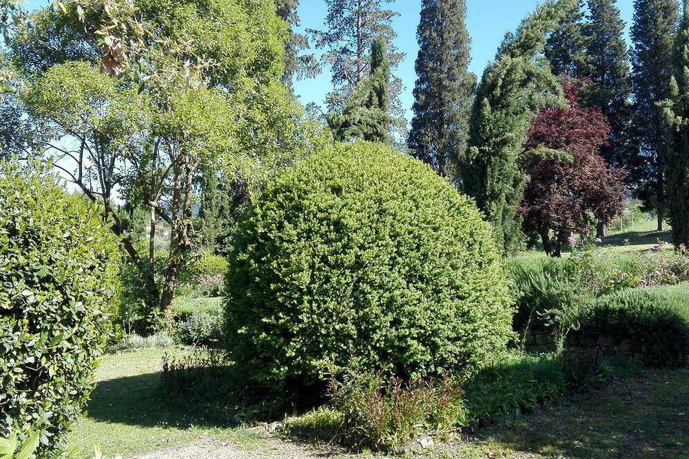 Former historical chapel in villa: pool, garden, parking space, fenced property in Florence, Province de Florence